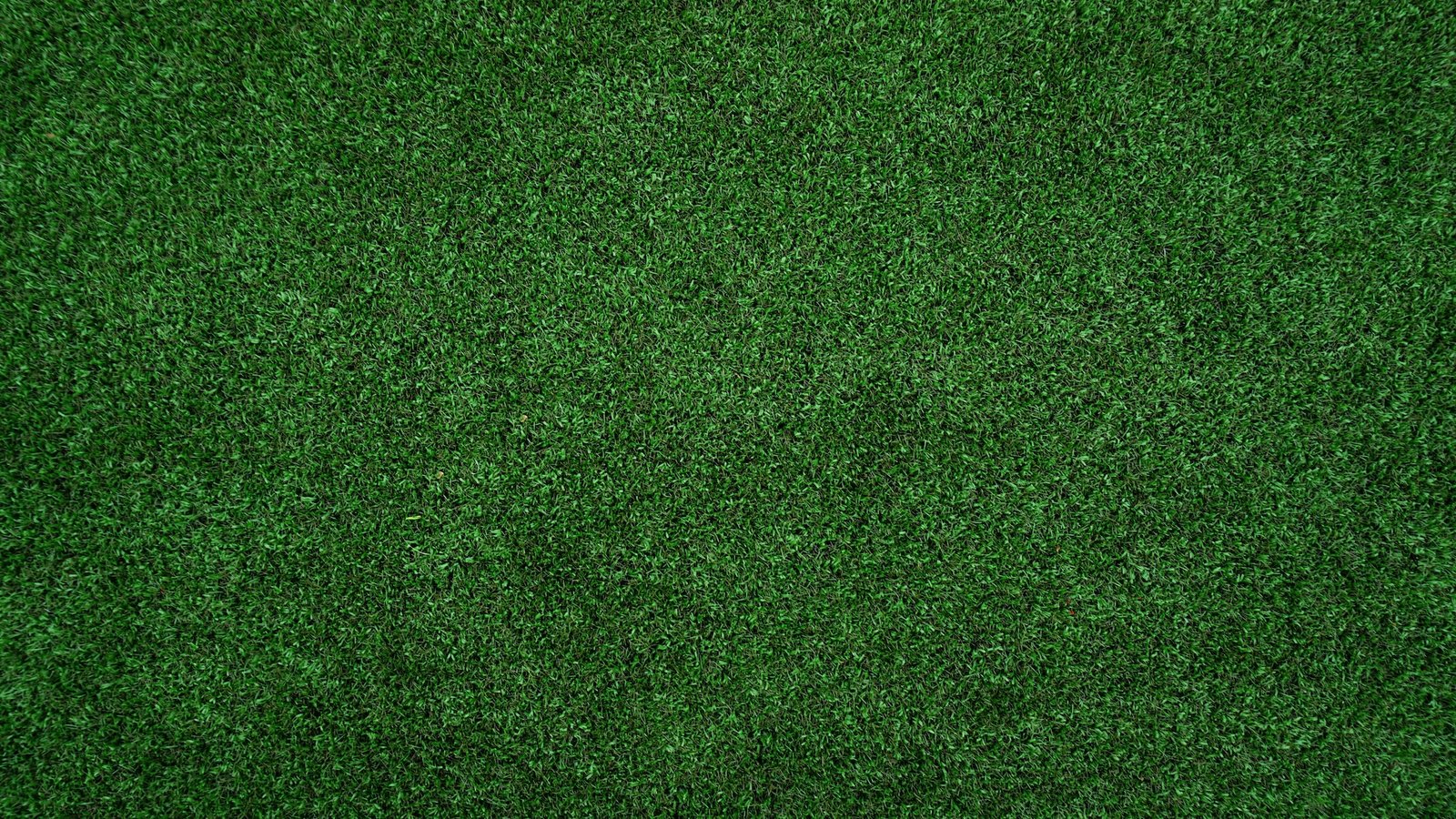 Greens Banner