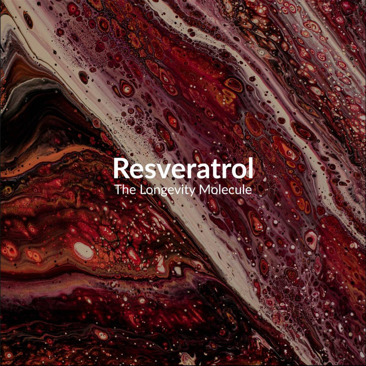 Resveratrol: The Longevity Molecule Hidden in Your Daily Greens