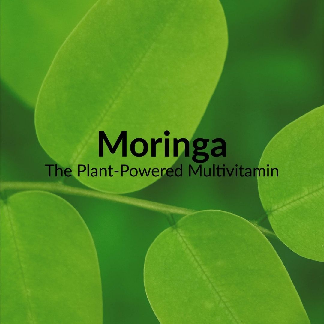 Moringa: The Green Gold of Superfoods