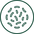 Probiotics & Digestive Enzymes
